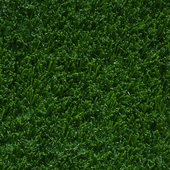 Bolt Landscape turf by Southwest Greens